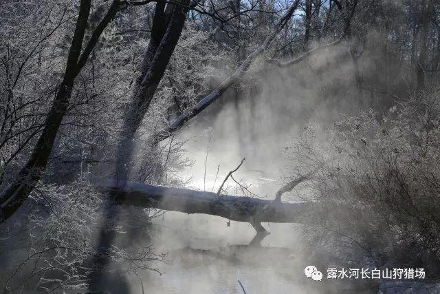 公主设计师大赛